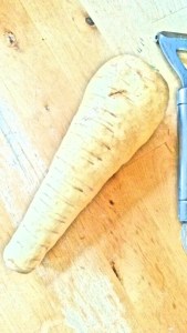 A parsnip yesterday.